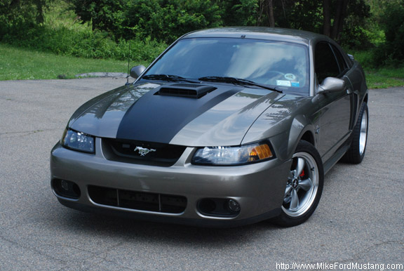 Web site for 2000 ford mustang decals #7